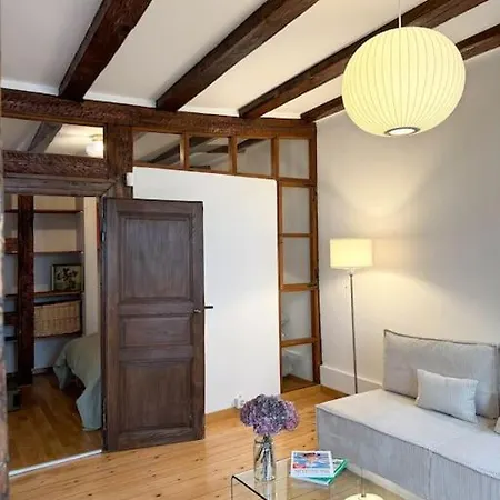 Cosy Au Centre-ville Lejlighed *